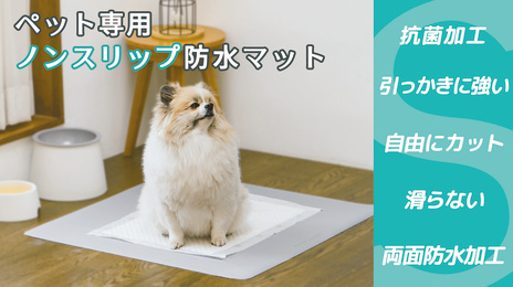 【ペット飼い主向け】クラウドファンディングの仕組み・注意点・種類や歴史を解説！犬猫プロジェクト一覧