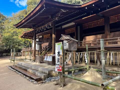 日本最古の神社建築「宇治上神社」の見どころを徹底解説！御朱印や御守も紹介
