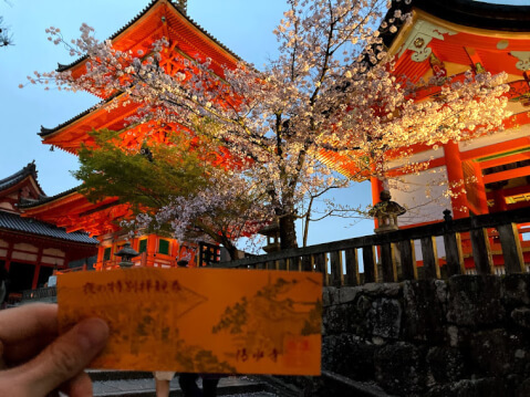 京都の桜の名所13選!開花時期や夜間のライトアップスポットも紹介