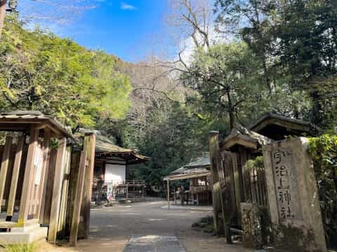 日本最古の神社建築「宇治上神社」の見どころを徹底解説！御朱印や御守も紹介