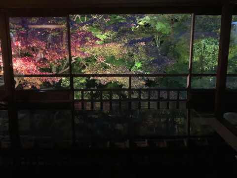 京都・瑠璃光院の見どころとアクセス、周辺スポットを詳しく紹介！幻想的なリフレクションが見どころ