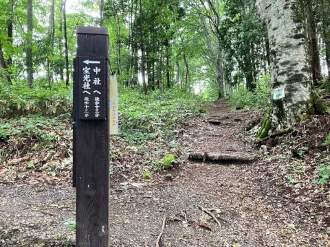 【戸隠神社】五社巡りの見どころを徹底解説!アクセスや周辺のおすすめ観光スポットも