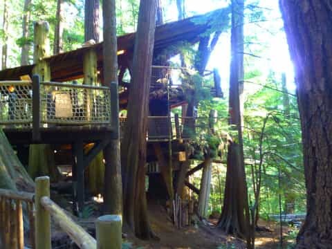 バンクーバーの観光地10選!バンクーバー旅行で役立つ観光情報まとめ