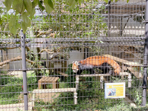 24時間遊べる「大慶園」を徹底取材!千葉県最大級のアミューズメントパークを満喫しよう♪