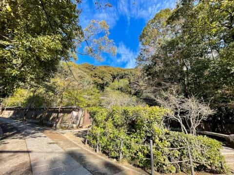 日本最古の神社建築「宇治上神社」の見どころを徹底解説！御朱印や御守も紹介