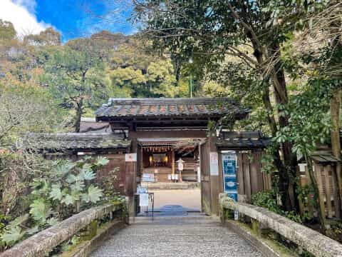 日本最古の神社建築「宇治上神社」の見どころを徹底解説！御朱印や御守も紹介