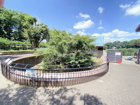 24時間遊べる「大慶園」を徹底取材！千葉県最大級のアミューズメントパークを満喫しよう♪