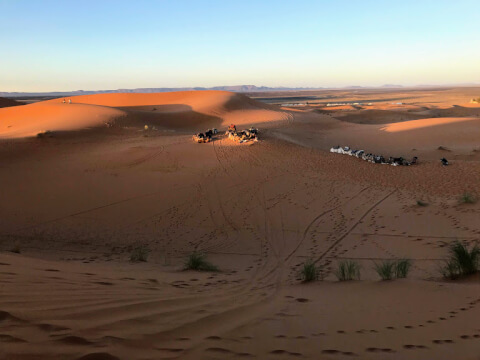 サハラ砂漠を満喫しよう！モロッコ・メルズーガにあるサハラ砂漠の楽しみ方や見どころを解説