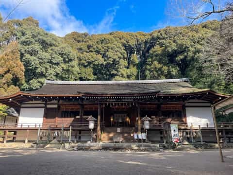 日本最古の神社建築「宇治上神社」の見どころを徹底解説！御朱印や御守も紹介