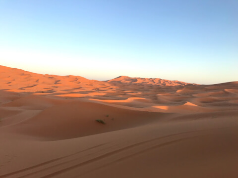 サハラ砂漠を満喫しよう！モロッコ・メルズーガにあるサハラ砂漠の楽しみ方や見どころを解説