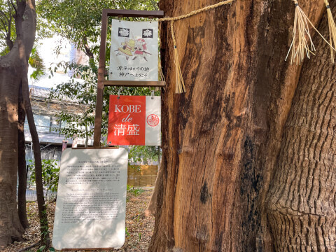神戸の最強パワースポット「生田神社」の見どころを紹介！限定お守りや御朱印も