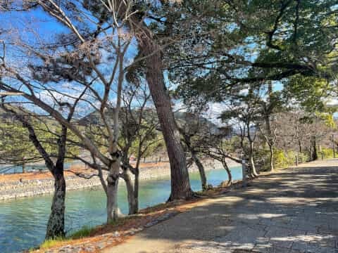 日本最古の神社建築「宇治上神社」の見どころを徹底解説！御朱印や御守も紹介