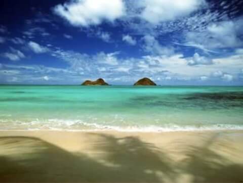 ハワイ観光の決定版！グルメからホテルまで、ハワイ旅行に役立つ観光情報まとめ
