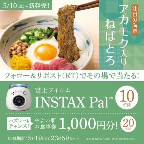 「やよい軒」公式 X・Instagramで実施　おでかけが楽しくなるグッズがもらえる　やよい軒【アカモク入】ねばとろ定食発売キャンペーン