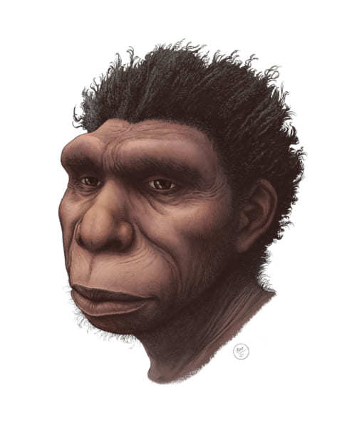 現代人の祖先と見られる新人種が「ホモ・ボドエンシス」と命名される