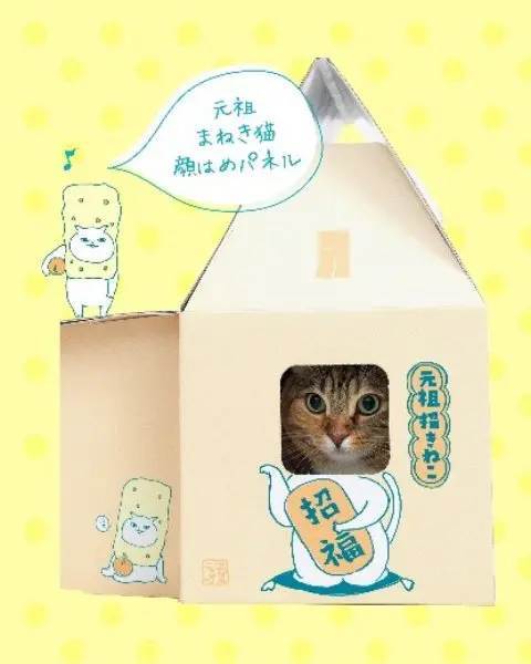 外箱にも個包装にもニャンコがいっぱい「マカダミアニャッツBOX」発売