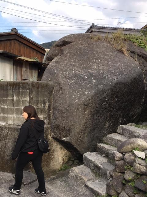 屋久島って、冬に行ったら何があるの...？そんな方のために、実際に行ってきました！