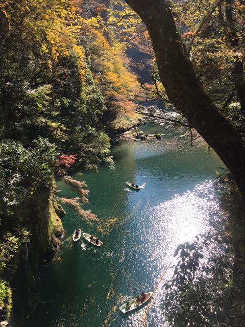 日本のひなた宮崎県で、真冬の日光浴たび