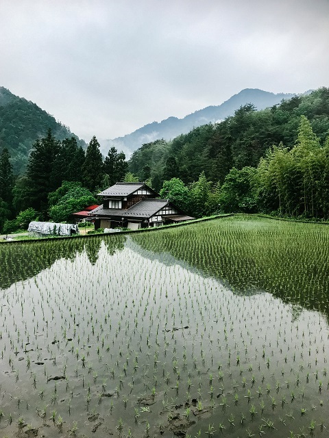 旧暦で5月を意味する「皐月(さつき)」、その由来は5月に行われてきた作業から!