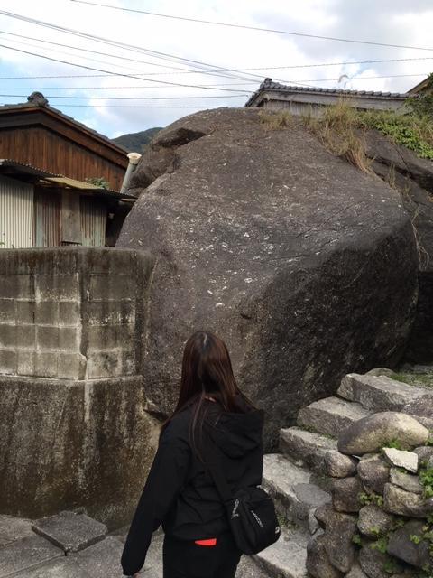 屋久島って、冬に行ったら何があるの...？そんな方のために、実際に行ってきました！