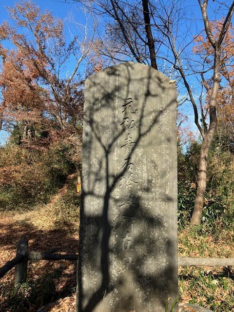 【首都圏からおでかけおすすめ！】ちょっとした山登り気分も味わえる狭山丘陵の都立公園散歩