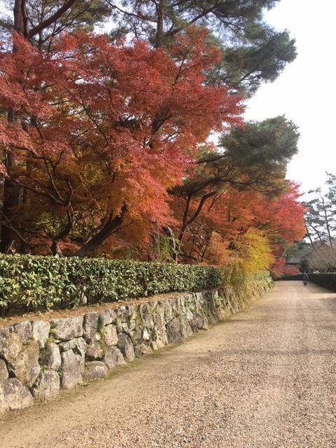 歴史人ゆかりの地めぐり -京都・亀岡／明智光秀編-