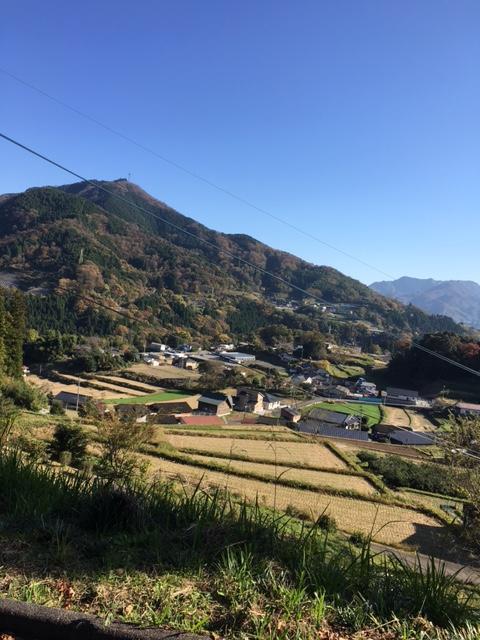 日本のひなた宮崎県で、真冬の日光浴たび