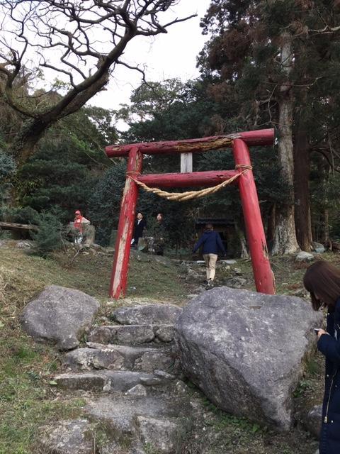 屋久島って、冬に行ったら何があるの...？そんな方のために、実際に行ってきました！