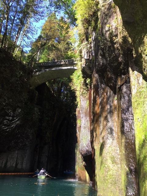 日本のひなた宮崎県で、真冬の日光浴たび