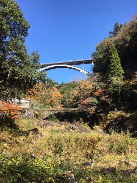 日本のひなた宮崎県で、真冬の日光浴たび