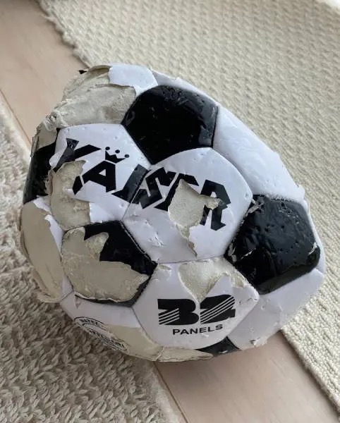 買ったばかりのサッカーボールをガブリ！ものの数分で壊しちゃった柴ワンコ