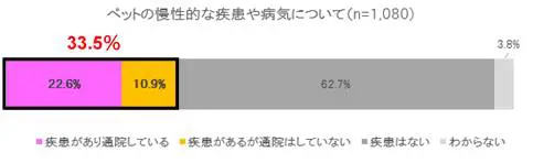 コロナ禍でペットの体重が増加？　約28％の飼い主「増えた」と回答