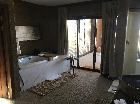 南アフリカのサファリ＆豪華ロッジでゆったり過ごす最高の休日。自分へのご褒美やハネムーンに是非！