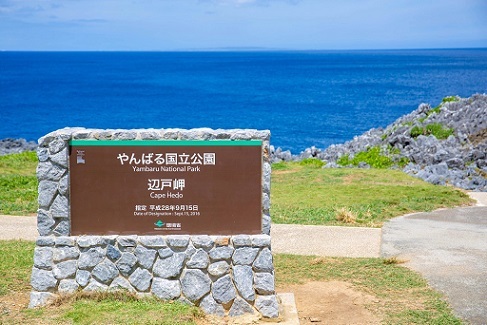 【連載】沖縄北部のおすすめ観光スポット！幻の鳥に出会えるチャンスも