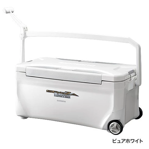 ライトジギングの基礎ガイド!釣り方の基本~コツ・テクニックをご紹介