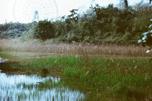 手ぶらピクニックを楽しめる、葛西臨海公園の攻略ガイド！エリア別の魅力も紹介！