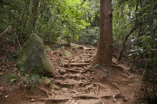 【関東】梅雨の登山におすすめの山4選！景色が残念でも楽しめるルート情報も！