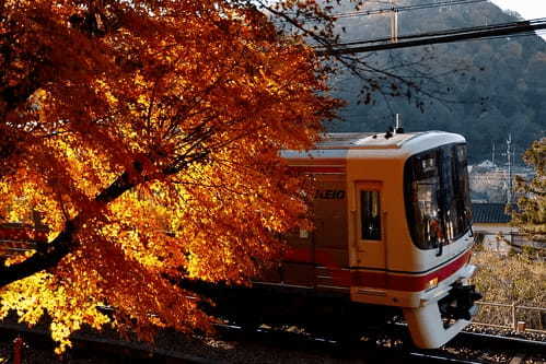 高尾山・一号路は登山初心者や子供も登りやすい。どんな服装や靴で行けばいい？