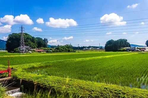 こだわりのお風呂とグルメを満喫しよう！栃木県のエリア別おすすめ温泉宿12選！