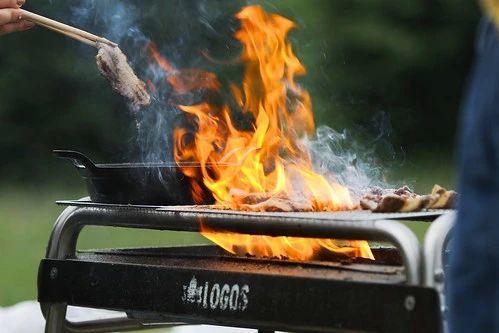 【東京】篠崎公園のバーベキュー情報ガイド。レンタルを活用すれば手ぶらで楽しめる！