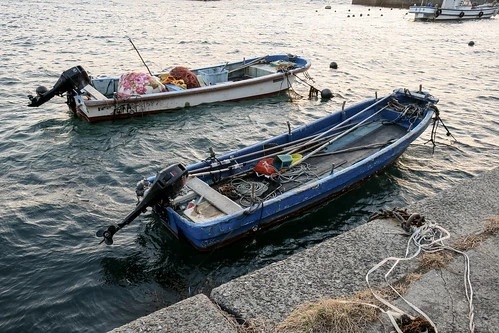 銚子港の釣り場ポイント＆釣果を徹底解説。混雑情報やトイレ、駐車場についても！