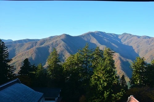 秩父の人気パワースポット、三峰神社の見どころを紹介！樹齢800年のご神木は必見！