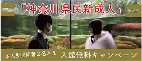 神奈川の新成人と同伴者2人、川崎水族館の入館無料キャンペーン