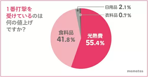 光熱費と食料品の増加で家計に大打撃は98％！ 3500人のママに聞いた物価高騰の影響調査