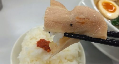 【熊本市中央区】見た目からは想像できない濃厚な清湯スープ＆もっちり麺で満腹間違いないお店、それが「豚珍麺（とんちんめん）熊大前店」