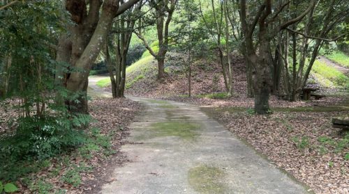 【熊本・和水町】橋向こうには謎の村がありました。「縄文のむら」