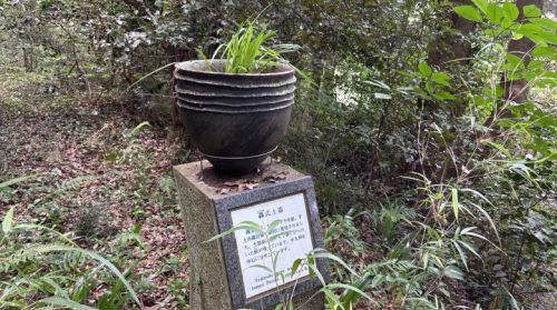 【熊本・和水町】橋向こうには謎の村がありました。「縄文のむら」