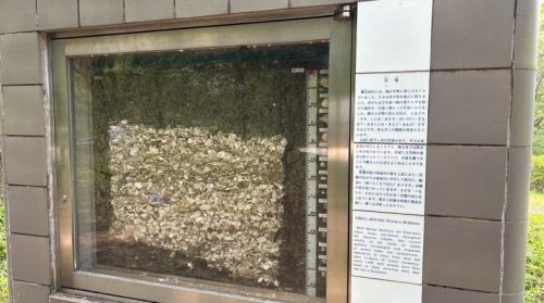 【熊本・和水町】橋向こうには謎の村がありました。「縄文のむら」