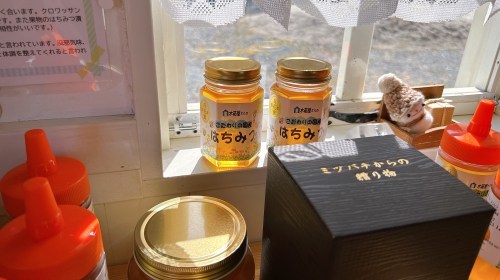 【合志市】はちみつ奥深え〜！国産はちみつ専門店・木箱屋さんで色々教えてもらった！