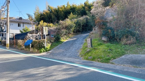 【熊本市西区】梅の花が見頃！島崎の百梅園で春の訪れと共に一足早くお花見してきた